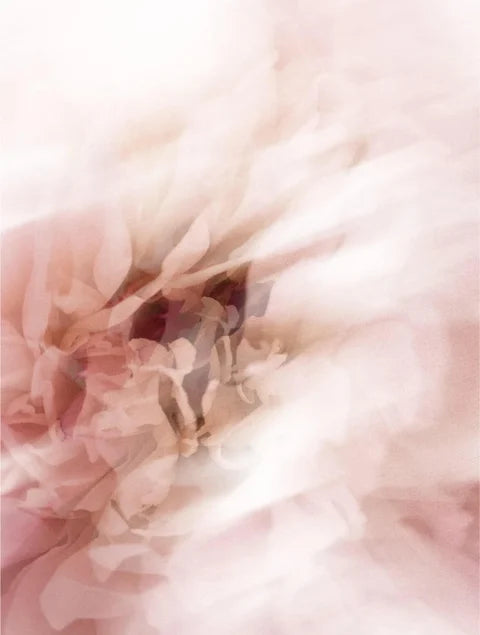 Protection solaire SPF50 Stick, avec teinte Weight 12 g / 0.42 oz