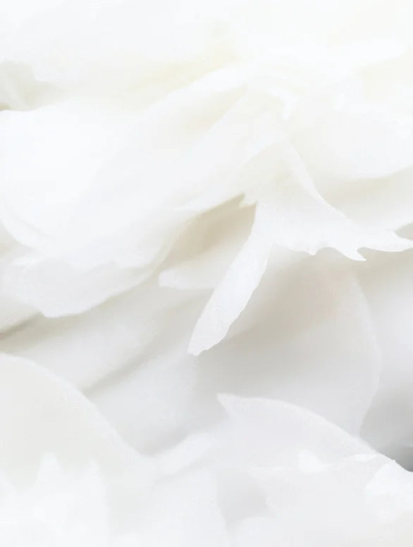 CC Crème aux céramides et SPF 30 en stick : 25 MEDIUM